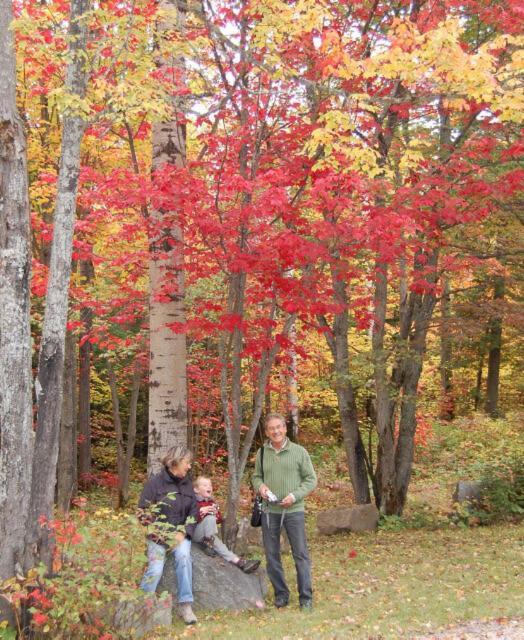 Domaine Le Bostonnais - Le Village En Bois Rond Hotel La Tuque